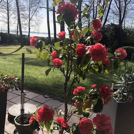 Weisser Berg Am Bungeweg Neustadt (Wartburgkreis)