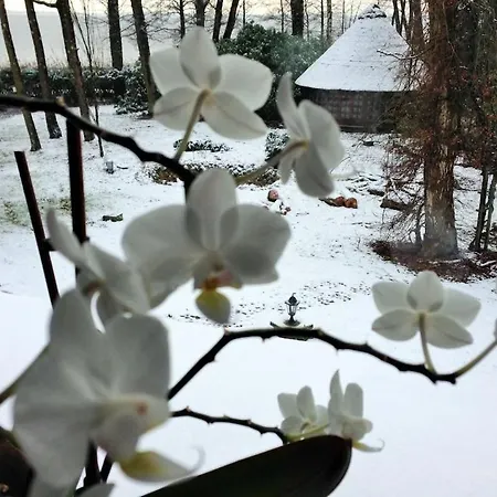 Weisser Berg Am Bungeweg * Neustadt (Wartburgkreis)