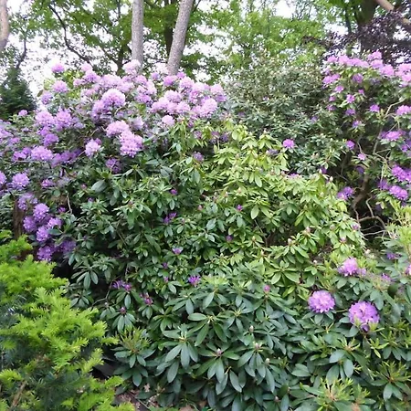 דירה Weisser Berg Am Bungeweg *