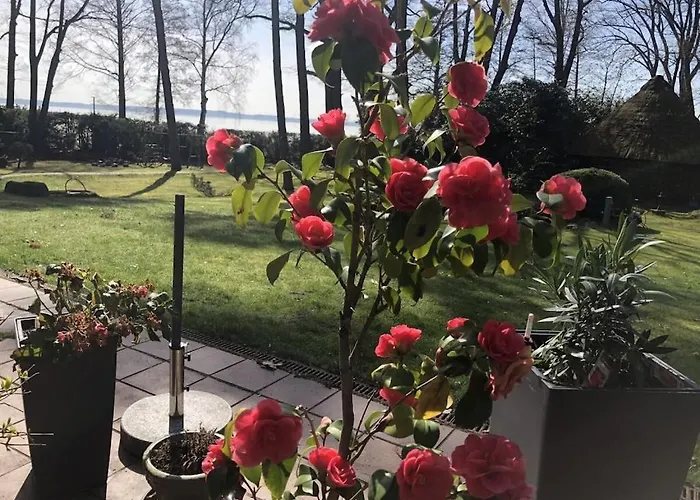 Weisser Berg Am Bungeweg Neustadt (Wartburgkreis)