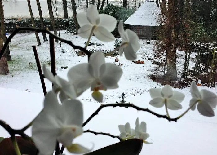 Weisser Berg Am Bungeweg * Neustadt (Wartburgkreis)