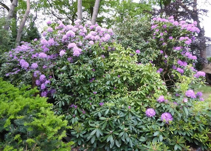 דירה Weisser Berg Am Bungeweg *